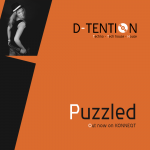 puzzledcover